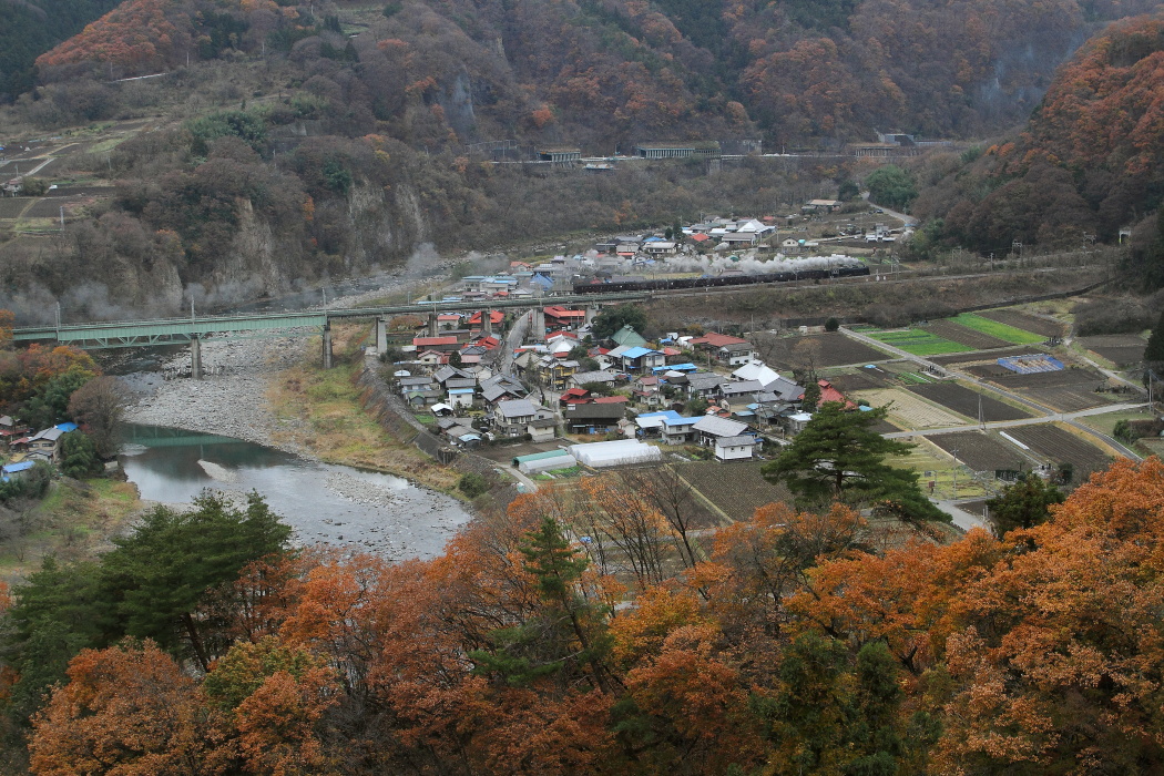 紅葉の向こう側 - 2016年晩秋・上越線 - _b0190710_22395489.jpg
