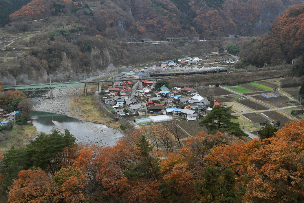 紅葉の向こう側　- 2016年晩秋・上越線 -  _b0190710_22395489.jpg