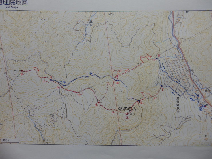 f0219710_07083391.jpg