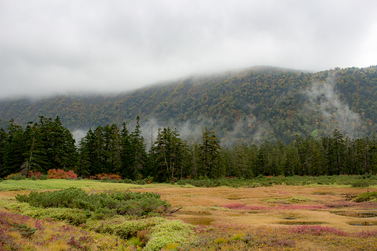 b0244811_128148.jpg