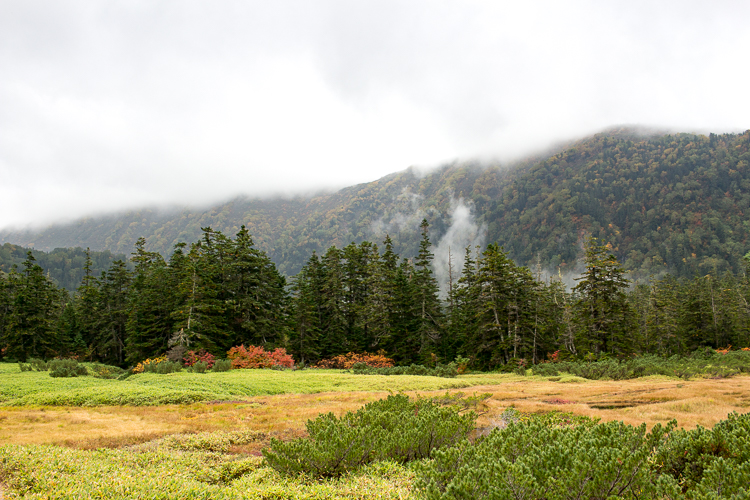 b0244811_175260.jpg