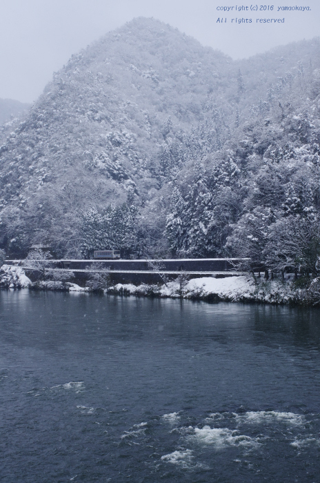 雪の江の川沿いを_d0309612_23031107.jpg