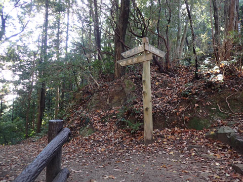 e0293913_18365134.jpg