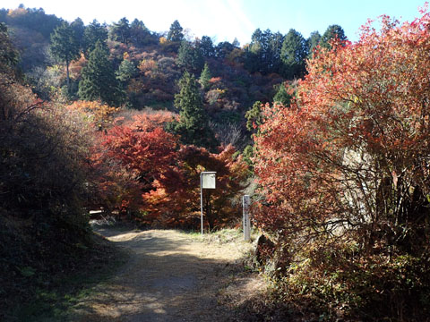 e0293913_1839710.jpg