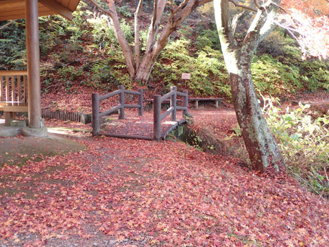 e0293913_18412915.jpg
