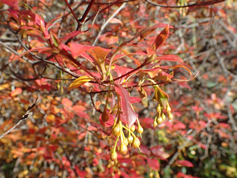 e0293913_18443612.jpg