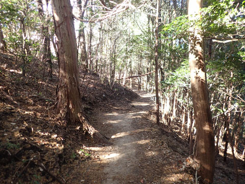 e0293913_18535068.jpg
