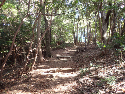 e0293913_18551761.jpg