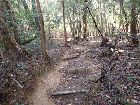 e0293913_18563653.jpg
