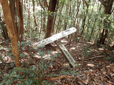 e0293913_185813.jpg