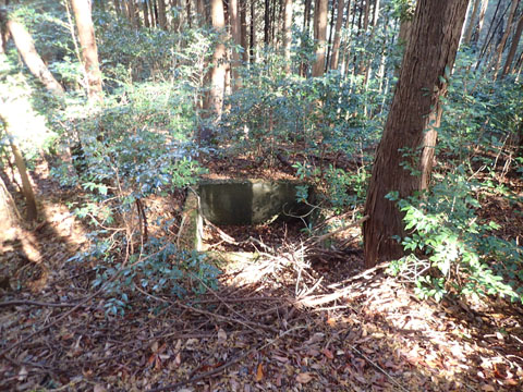 e0293913_18583472.jpg