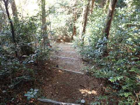 e0293913_1903048.jpg