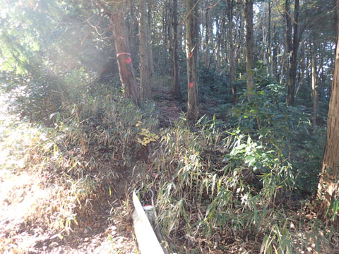 e0293913_19124679.jpg