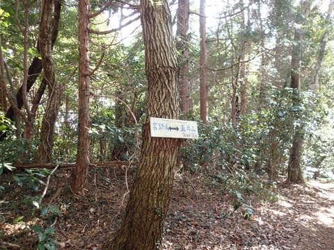 e0293913_19134020.jpg