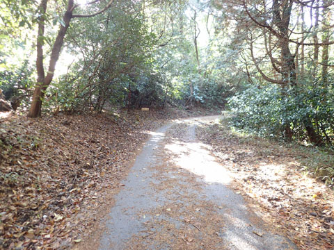 e0293913_1914397.jpg