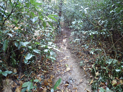 e0293913_1915152.jpg