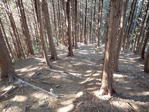 e0293913_192335.jpg