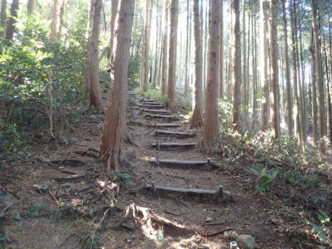e0293913_1971444.jpg