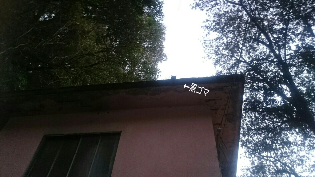 b0187620_18593882.jpg