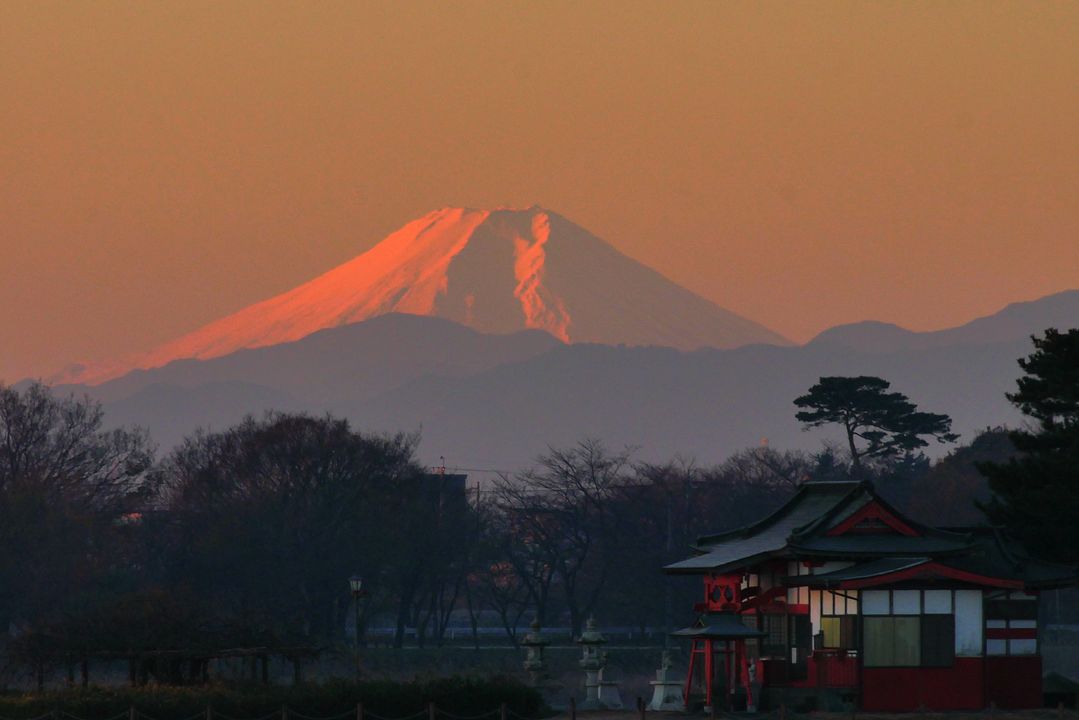 今朝の紅富士・・・多々良沼_a0031821_16441525.jpg