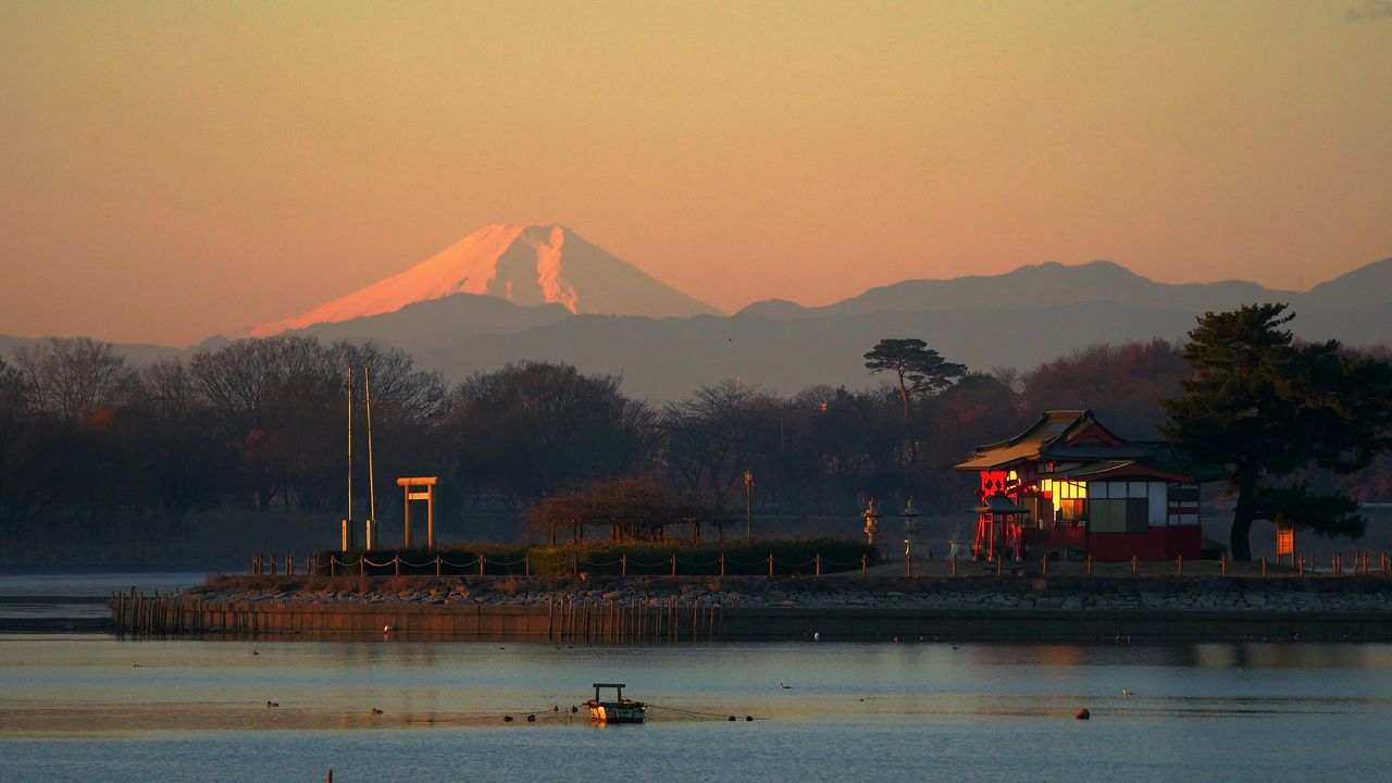 今朝の紅富士・・・多々良沼_a0031821_16444548.jpg