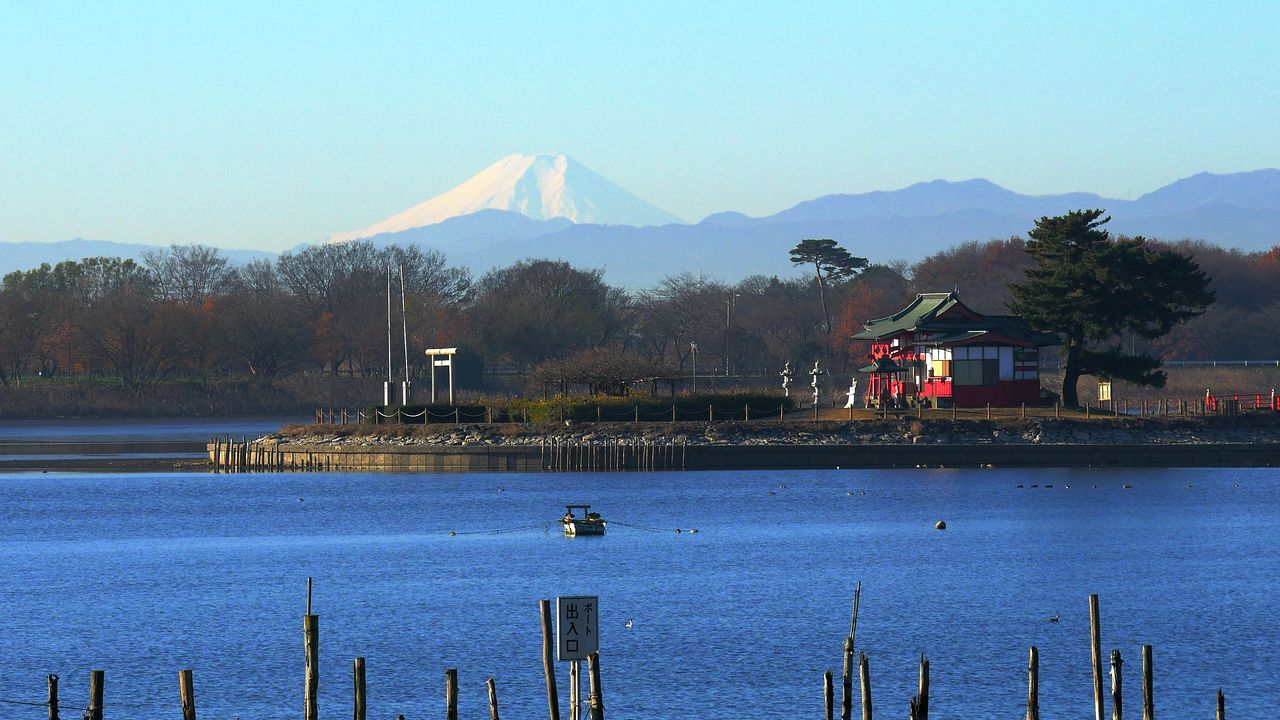 今朝の紅富士・・・多々良沼_a0031821_1645689.jpg