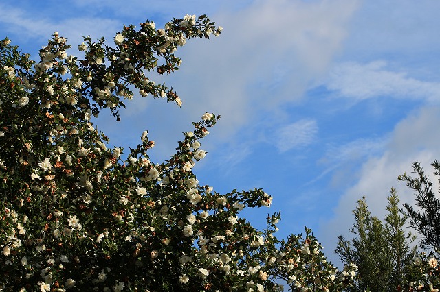 e0321325_14561872.jpg