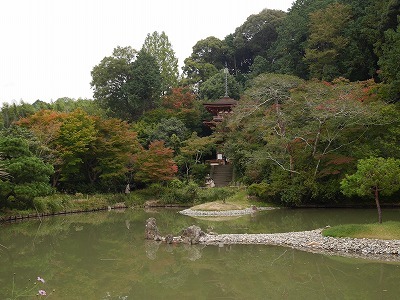 c0039428_21382851.jpg