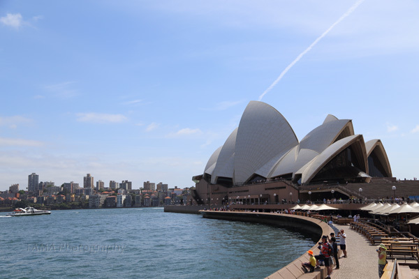c0024729_20410679.jpg