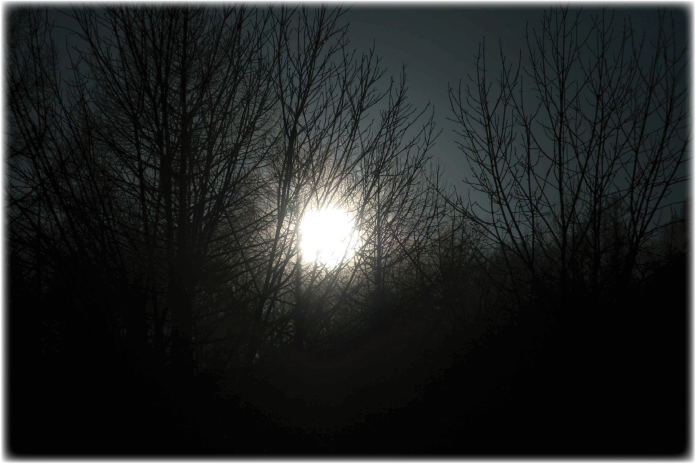 c0107829_13304047.gif