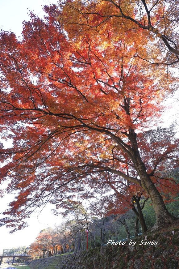 c0201929_7455155.jpg