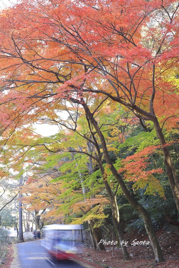 c0201929_746251.jpg