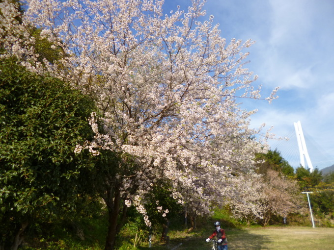 尾道忘年会レポ④_a0285330_23200576.jpg