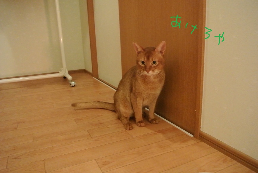 a0099131_1964521.jpg