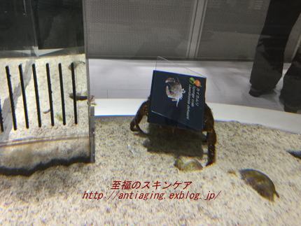 c0025937_14074826.jpg