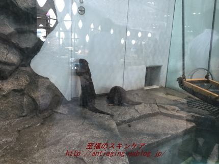 c0025937_14081642.jpg