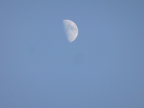a0054240_21391535.jpg