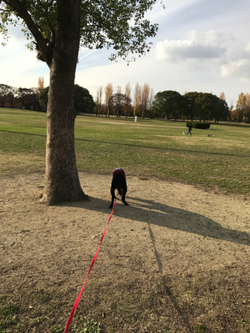 風車のある公園_f0337250_22393156.jpg