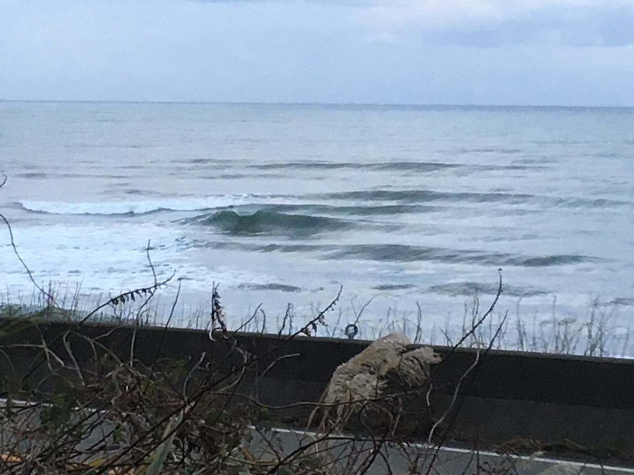 c0254151_19144789.jpg
