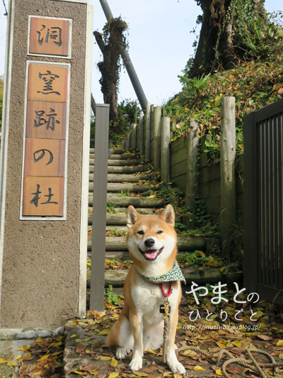 瀬戸のお散歩コース"洞･窯跡の杜"@愛知県瀬戸市 - yamatoのひとりごと