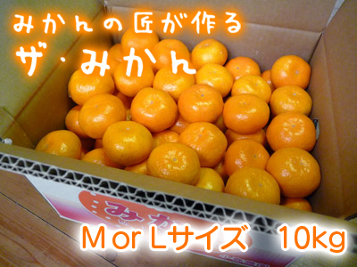 ザ・みかん 晩生(おくて)みかん「金峰」「青島」の収穫!!2016 中世みかん『ひのみらい』大好評発売中!_a0254656_189393.jpg