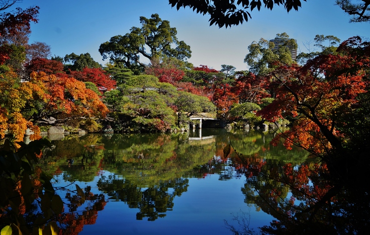 相楽園の紅葉 たんぶーらんの戯言