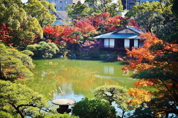 相楽園の紅葉 たんぶーらんの戯言 相楽園の紅葉 たんぶーらんの戯言