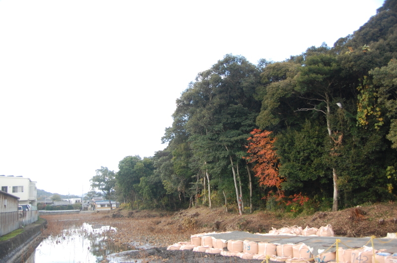 c0108460_12401477.jpg