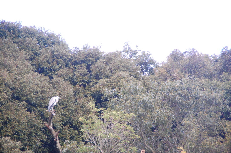 c0108460_12402561.jpg