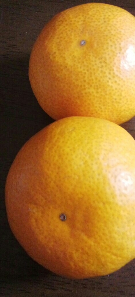 c0324961_15563910.jpg