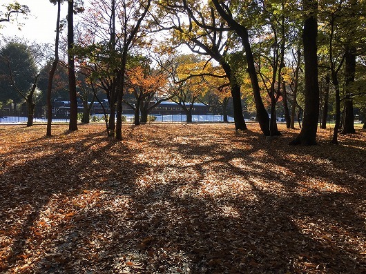 b0145863_19114527.jpg