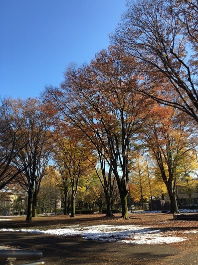 b0145863_19124879.jpg