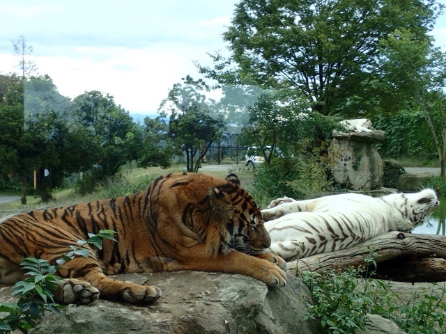 d0052263_10143838.jpg