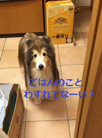 a0157174_16324503.png